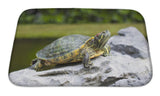 Bath Mat, Tortoise On Stone