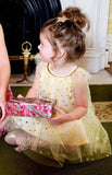 Infant Girls Sequined dress Star Print Bling Net