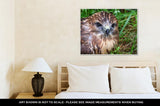 Gallery Wrapped Canvas, Falcon Nestling