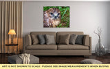 Gallery Wrapped Canvas, Falcon Nestling