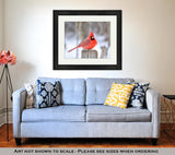 Framed Print, Northern Cardinal