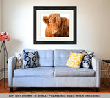 Framed Print, Wild Redhaired Calf Of Highland