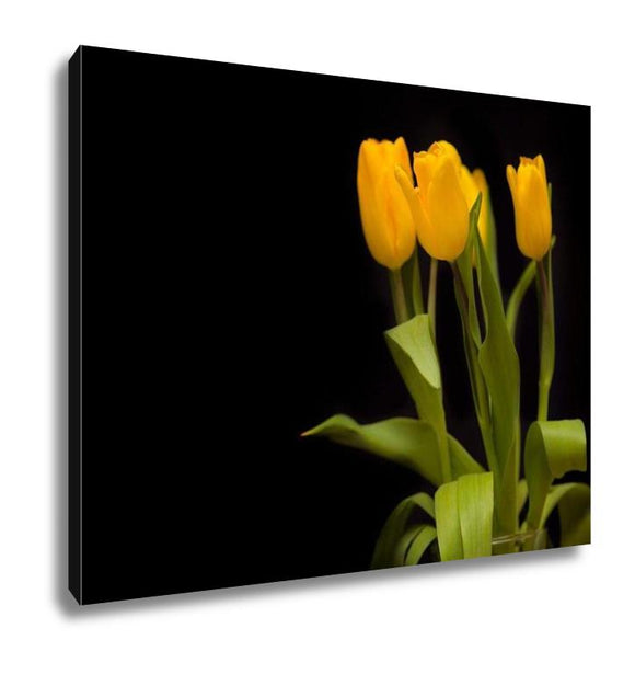 Gallery Wrapped Canvas, Yellow Tulips On A Dark