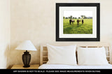 Framed Print, Kentucky Thoroughbreds