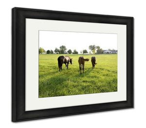 Framed Print, Kentucky Thoroughbreds