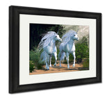 Framed Print, Enchanted Forest