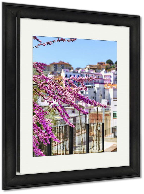 Framed Print, Eastern Redbud Blossom Cercis Canadensis Purple Flower Tree In Sunlight Shallow