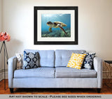 Framed Print, Hawaiian Green Sea Turtle