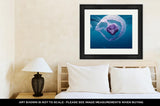Framed Print, Nice Beautiful Small Jellyfish In Red Sea