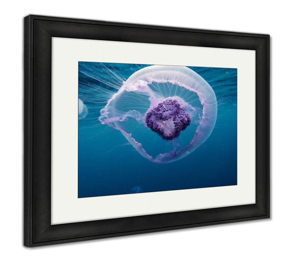 Framed Print, Nice Beautiful Small Jellyfish In Red Sea