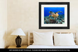 Framed Print, Sea Turtle