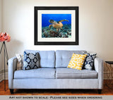 Framed Print, Sea Turtle