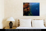 Gallery Wrapped Canvas, Freediver Descending Along The Vivid Reef Wall Red Sea Egypt