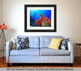 Framed Print, Two Scuba Divers Dive Over A Beautiful Coral Reef In Clear Blue Sea