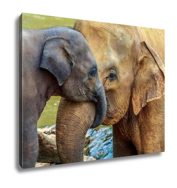 Gallery Wrapped Canvas, Elephant And Baby Elephant