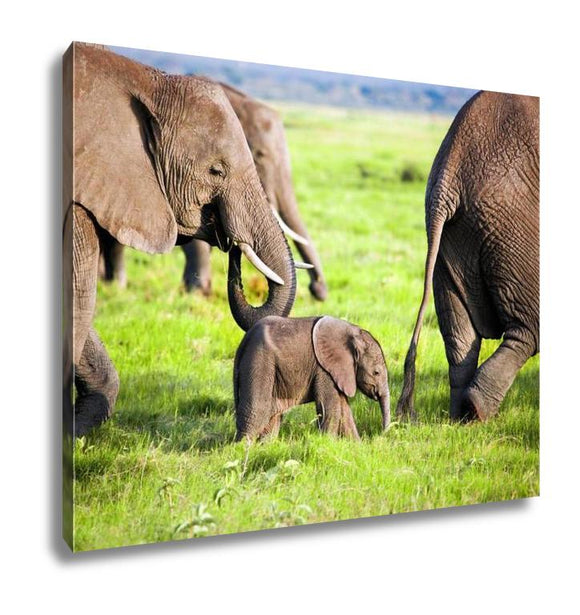 Gallery Wrapped Canvas, Elephants Family On African Savanna Safari In Amboseli Kenya Africa