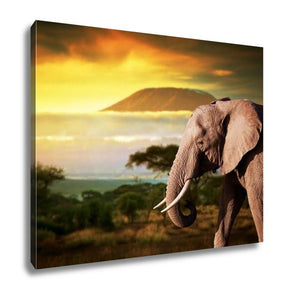 Gallery Wrapped Canvas, Elephant On Savanna Landscape And Mount Kilimanjaro At Sunset