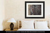 Framed Print, A Close Up Of An Elephants Face In Botswana