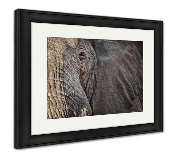 Framed Print, A Close Up Of An Elephants Face In Botswana