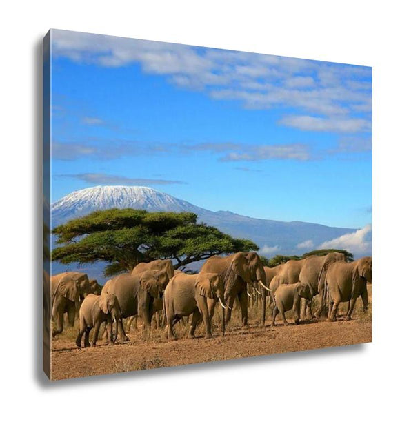 Gallery Wrapped Canvas, Kilimanjaro With Elephant Herd