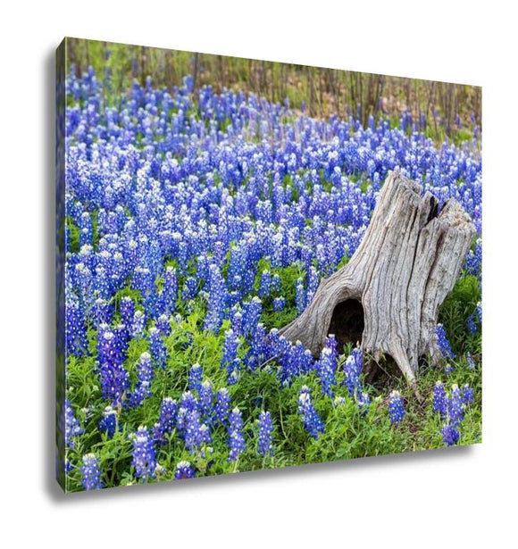 Gallery Wrapped Canvas, Austin Beautiful Texas Bluebonnets Field And Tree Stump