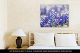 Gallery Wrapped Canvas, Austin Texas Wildflower Closeup Bluebonnets In Spring