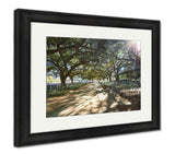 Framed Print, Houston Discovery Green Park In Downtown Texas