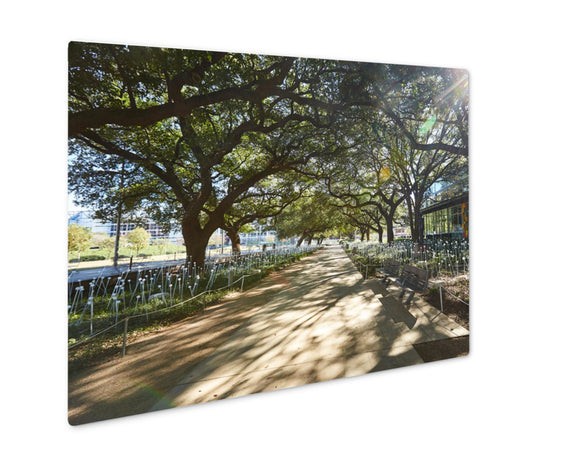 Metal Panel Print, Houston Discovery Green Park In Downtown Texas