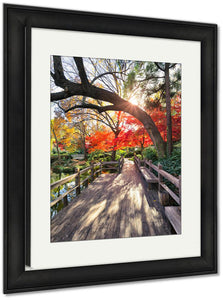 Framed Print, Autumn Foliage