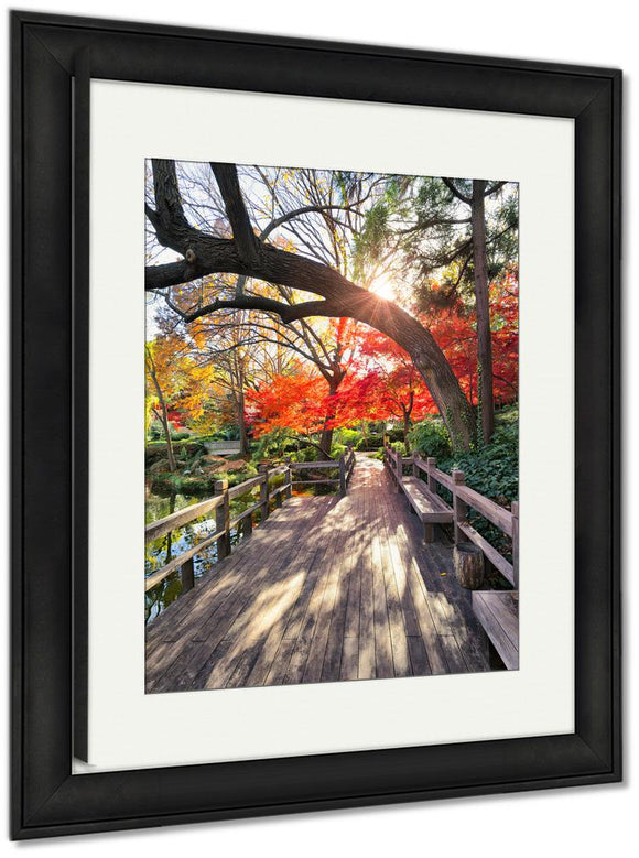 Framed Print, Autumn Foliage