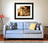 Framed Print, Majestic King
