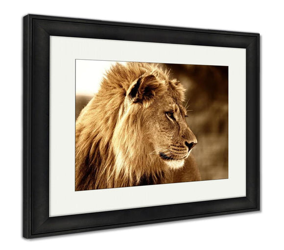 Framed Print, Majestic King