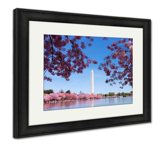 Framed Print, Washington Dc Cherry Blossom