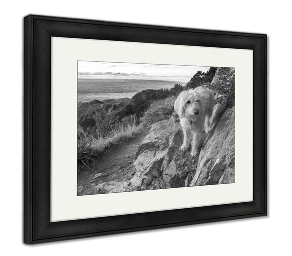 Framed Print, Labradoodle Above The Rio Grande Valley