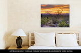 Gallery Wrapped Canvas, Sonoran Desert Catching Days Last Rays Near Tucson