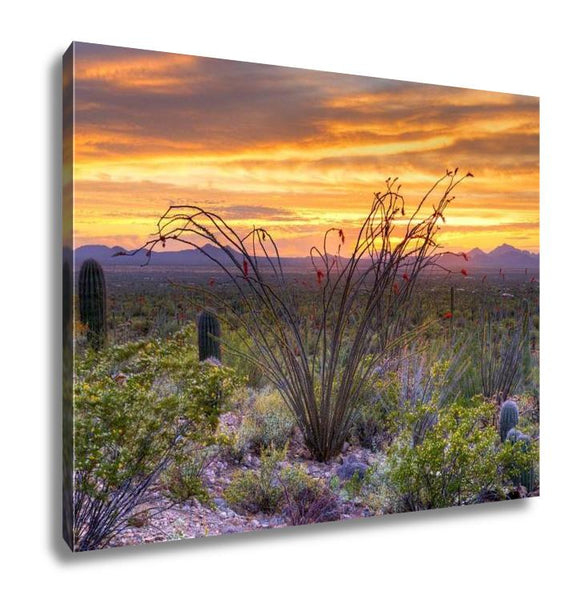 Gallery Wrapped Canvas, Sonoran Desert Catching Days Last Rays Near Tucson