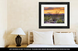 Framed Print, Sonoran Desert Catching Days Last Rays Near Tucson