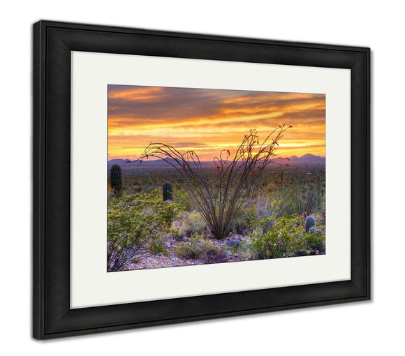 Framed Print, Sonoran Desert Catching Days Last Rays Near Tucson