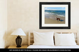 Framed Print, Border Collie At The Beach