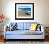 Framed Print, Border Collie At The Beach