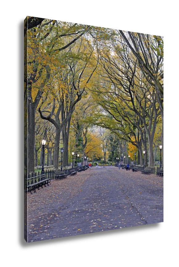 Gallery Wrapped Canvas, Autumn Colors In Central Park Manhattan New York