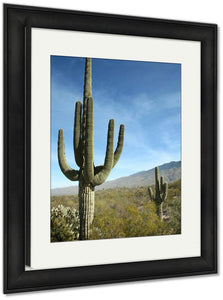 Framed Print, Giant Saguaro Cactus