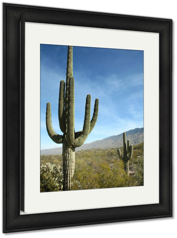 Framed Print, Giant Saguaro Cactus