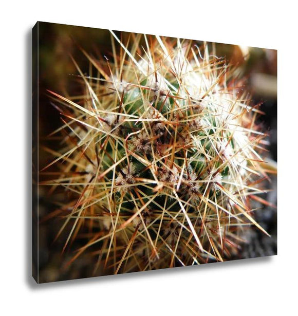 Gallery Wrapped Canvas, Cactus