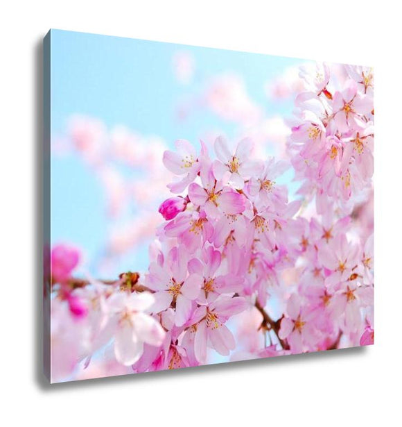 Gallery Wrapped Canvas, Japanese Cherry Blossoms