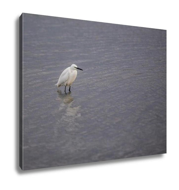 Gallery Wrapped Canvas, Little Egret