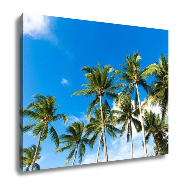 Gallery Wrapped Canvas, Tropical Palm Trees In The Blue Sunny Sky