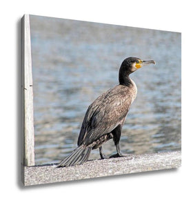 Gallery Wrapped Canvas, Cormorant In Zurich