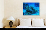 Gallery Wrapped Canvas, Red Sea Underwater