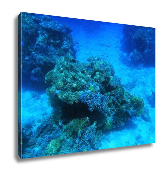 Gallery Wrapped Canvas, Red Sea Underwater